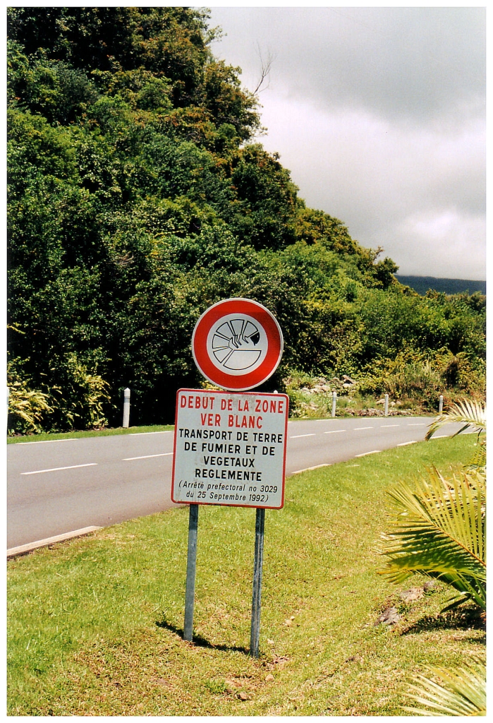 03 - Salazie (8).jpg